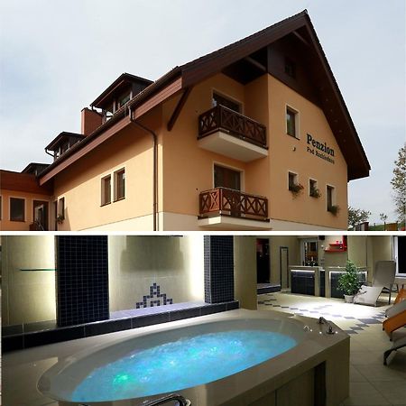 Wellness Penzion Pod Rozhlednou Kostelec nad Orlicí Dış mekan fotoğraf