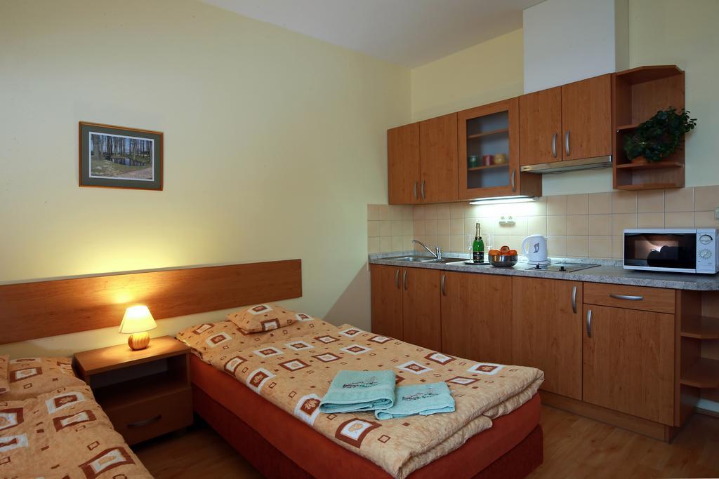 Wellness Penzion Pod Rozhlednou Kostelec nad Orlicí Oda fotoğraf