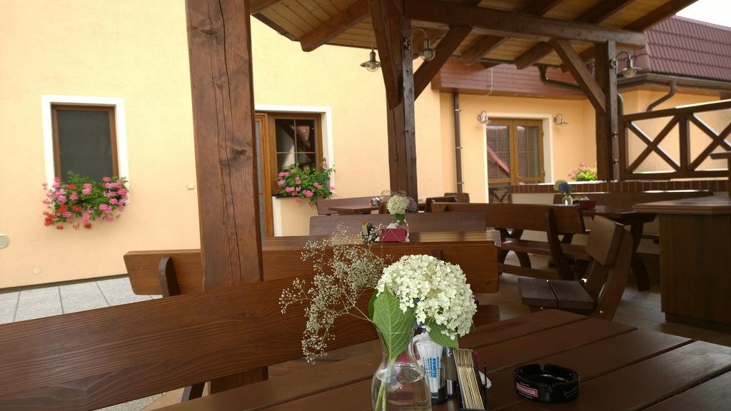 Wellness Penzion Pod Rozhlednou Kostelec nad Orlicí Dış mekan fotoğraf