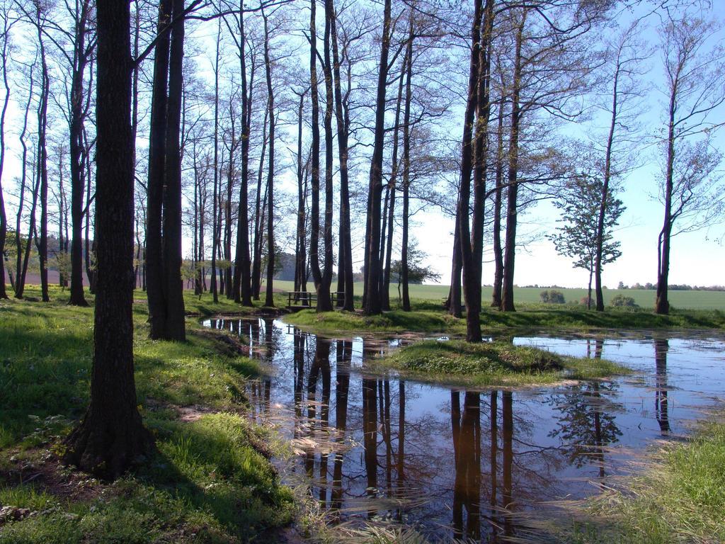 Wellness Penzion Pod Rozhlednou Kostelec nad Orlicí Dış mekan fotoğraf